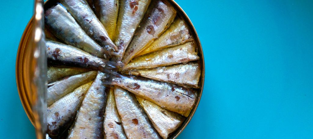 ¿Cómo es el proceso de la fabricación de las conservas de sardina y atún?
